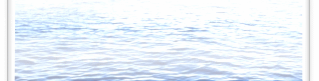 20.gif